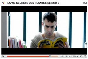 viesecrete