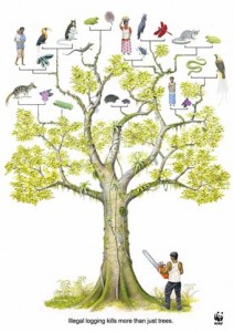treecut2008