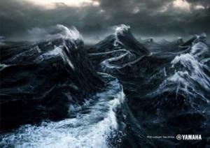 vague2008