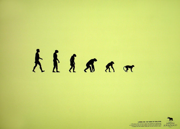 evolution2009