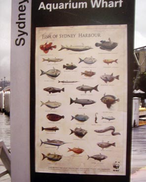 Sydney Fish Chart