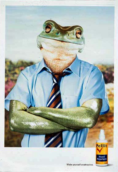 frog2002