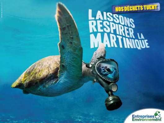 turtle2010 turtle2010